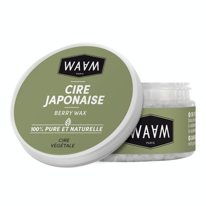 Cire Japonaise 50 g - WAAM - Rougier et Plé