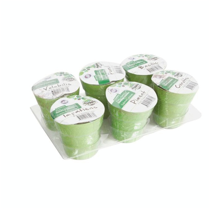 Pots avec Graines 6 pcs - MGM - Rougier et Plé