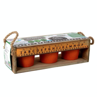 Jardinière en Bois 3 Plantes Aromatiques - MGM - Rougier et Plé