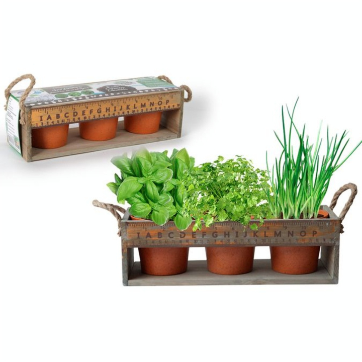 Jardinière en Bois 3 Plantes Aromatiques - MGM - Rougier et Plé