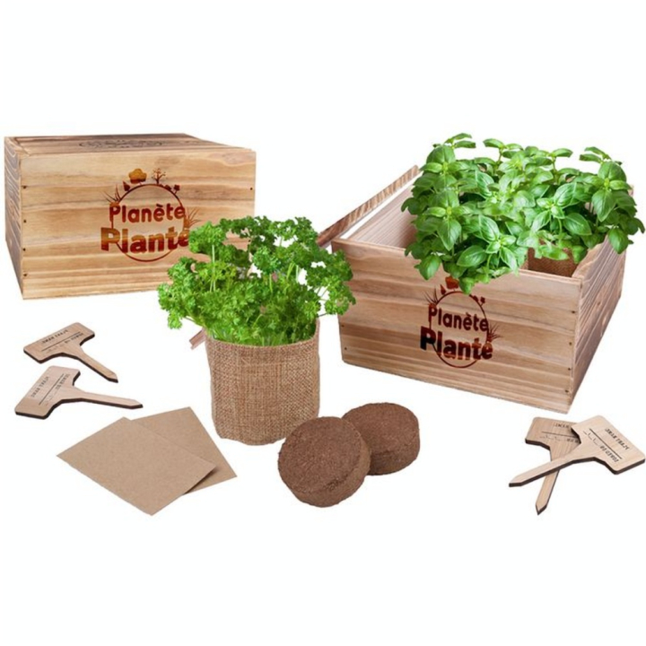 Jardinière 4 Plantes Aromatiques - MGM - Rougier et Plé