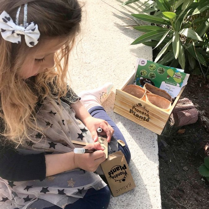 Jardinière 4 Plantes Aromatiques - MGM - Rougier et Plé