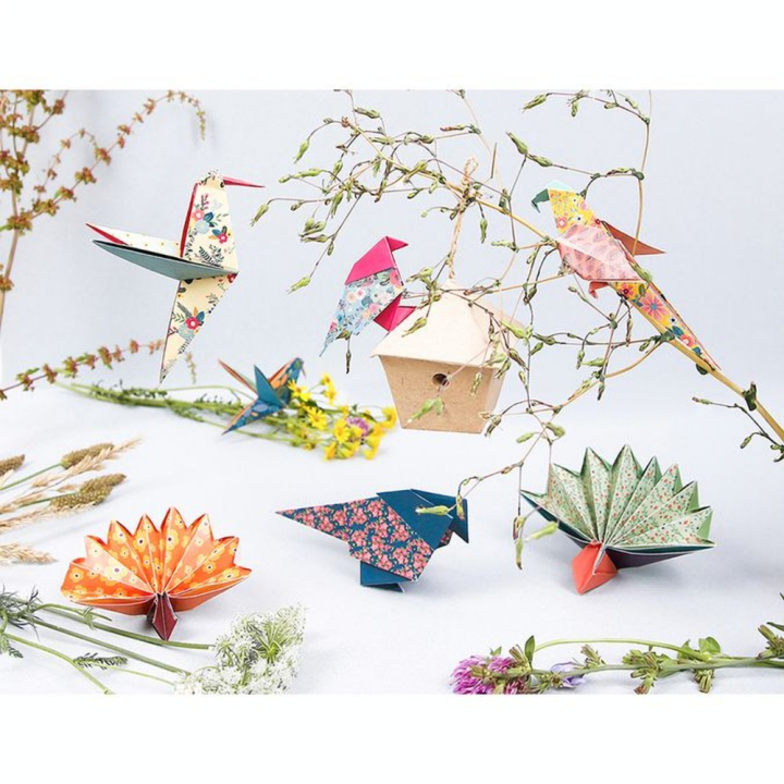Papier Origami 60 feuilles 3 formats Oiseaux - Clairefontaine - Rougier et Plé