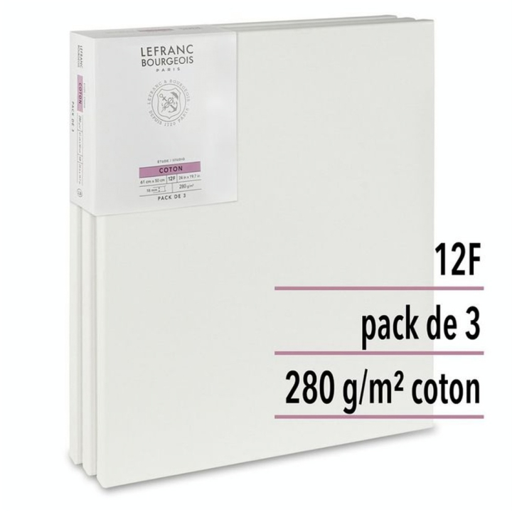 Lot de 3 Châssis Toiles Étude Coton 12F 61 x 50 cm - Lefranc Bourgeois - Rougier et Plé