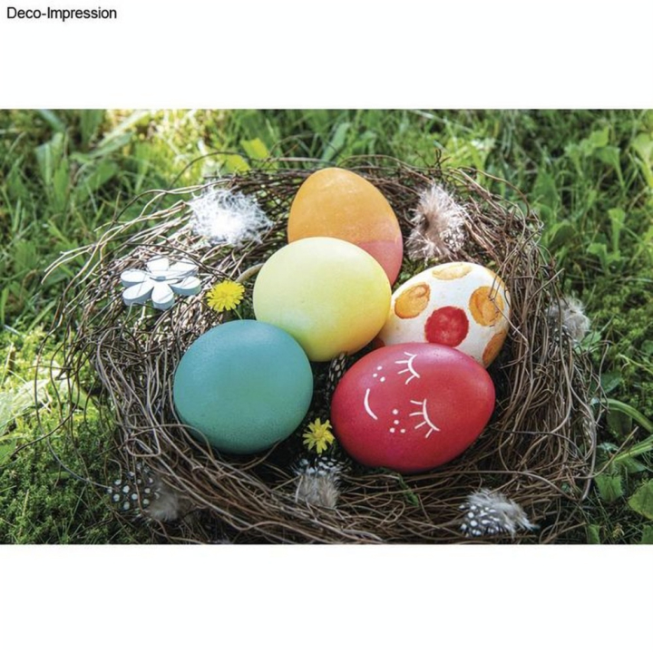 Colorant alimentaire pour Oeufs 5 pcs - Rayher - Rougier et Plé