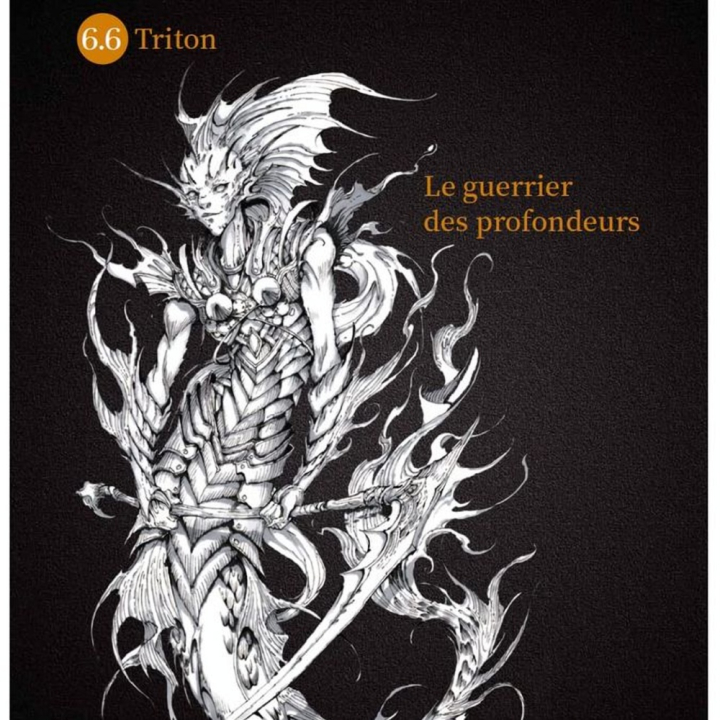 Livre l'Art de la Fantasy dessiné à la main - Place des victoires - Rougier et Plé