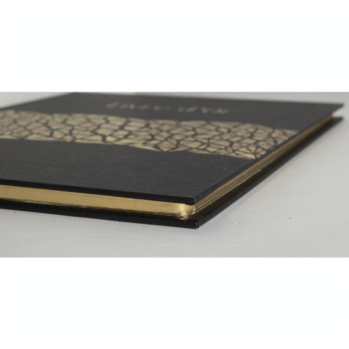 Livre d'Or 100 pages 27 x 22 cm Aramy - Exacompta - Rougier et Plé