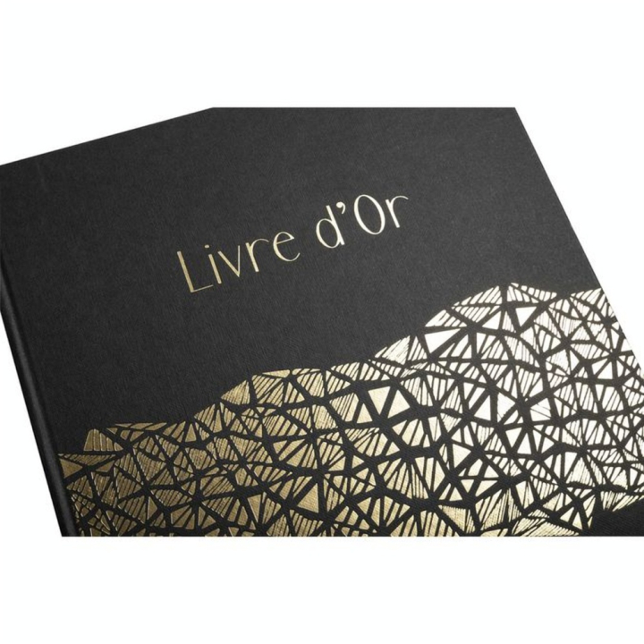Livre d'Or 100 pages 27 x 22 cm Aramy - Exacompta - Rougier et Plé