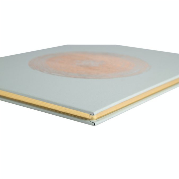 Livre d'Or 100 pages 27 x 22 cm Ellipse Vert - Exacompta - Rougier et Plé