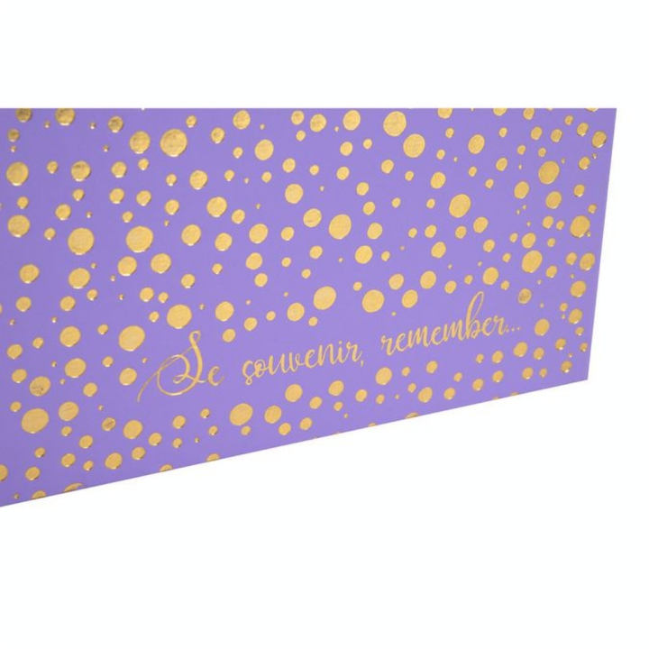 Album Photo Livre 30 pages 25 x 25 cm Violet - Exacompta - Rougier et Plé
