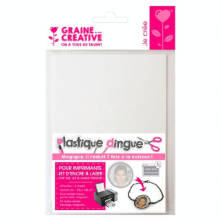 Plastique dingue Imprimable 4 feuilles A5 - Graine Créative - Rougier et Plé