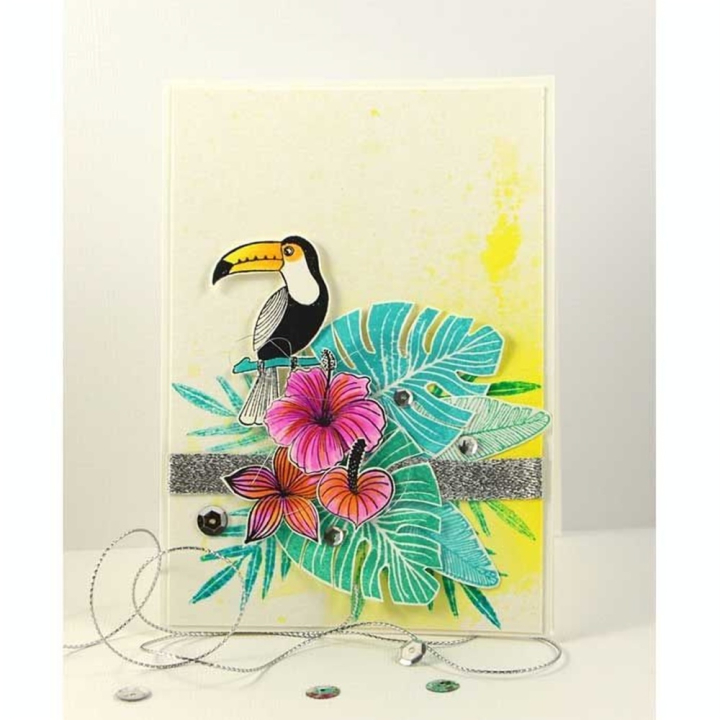 Tampon Stampo Clear Jungle 10 pcs - Aladine - Rougier et Plé