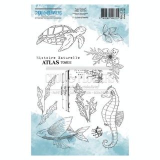 Tampon transparent A5 15 x 21 cm Atlas Tome II 11 pcs - Chou & Flowers - Rougier et Plé