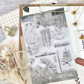 Tampon transparent En forêt 17 pcs - Chou & Flowers - Rougier et Plé