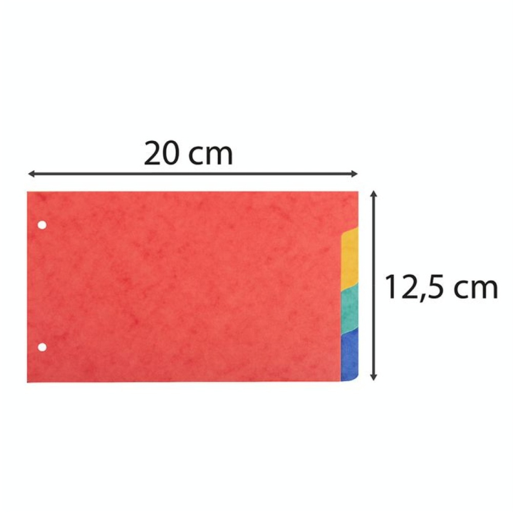 Intercalaires pour Fiches Bristol 12.5 x 20 cm 4 positions - Exacompta - Rougier et Plé