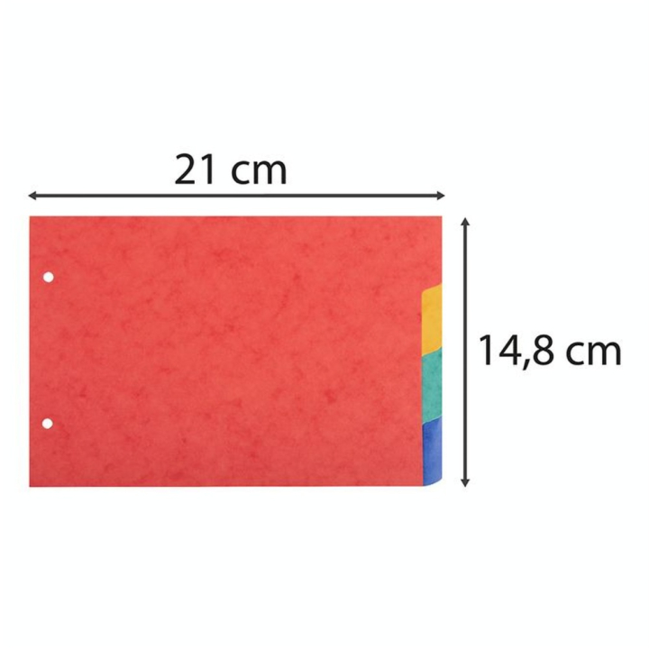 Intercalaires pour Fiches Bristol A5 14.8 x 21 cm 4 positions - Exacompta - Rougier et Plé