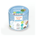 Tampon bois Stampo Baby Eco-Friendly Kit Animaux Familiers - Aladine - Rougier et Plé