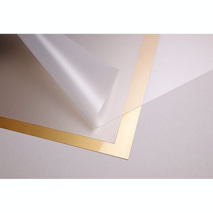 Feuille Polypropylène Translucide 50 x 70 cm - Clairefontaine - Rougier et Plé
