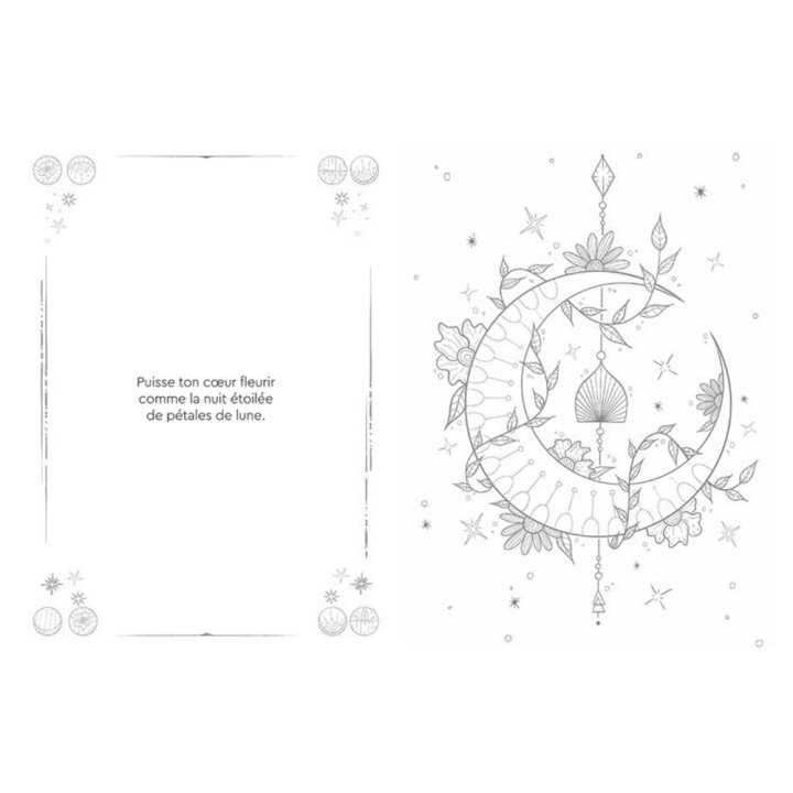 Comme par magie Le Grand Livre de Coloriage - Hachette - Rougier et Plé