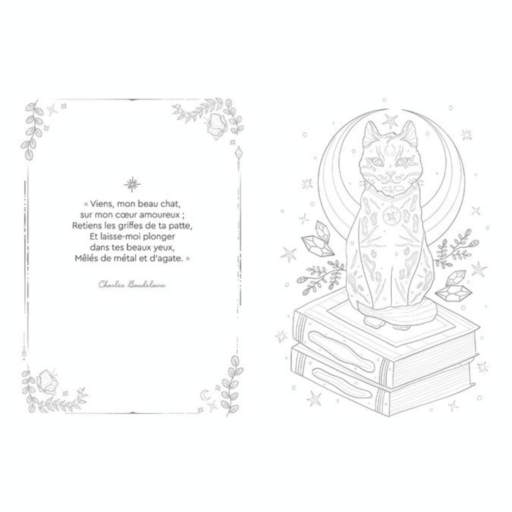 Comme par magie Le Grand Livre de Coloriage - Hachette - Rougier et Plé