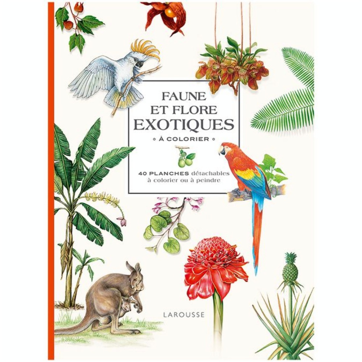 Faune et Flore Exotiques à colorier - 40 planches - Hachette - Rougier et Plé