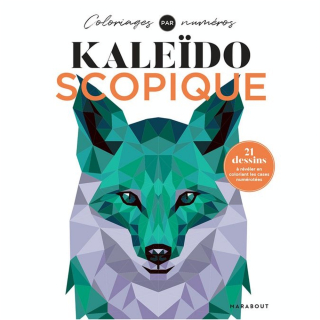 Coloriage par numéro Kaleïdoscopique - Hachette - Rougier et Plé