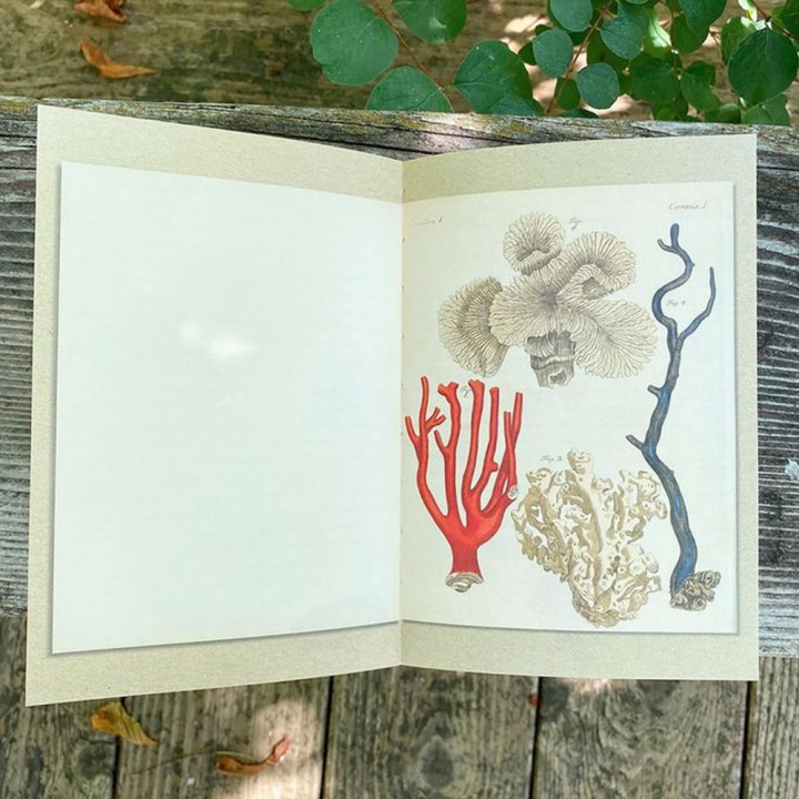 Carnet illustré 13,2 x 19,5 cm 128 pages À la mer - Alibabette Éditions - Rougier et Plé