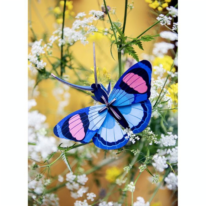 Décoration murale 3D 17 x 5 x 15 cm Papillon Paon - Studio ROOF - Rougier et Plé