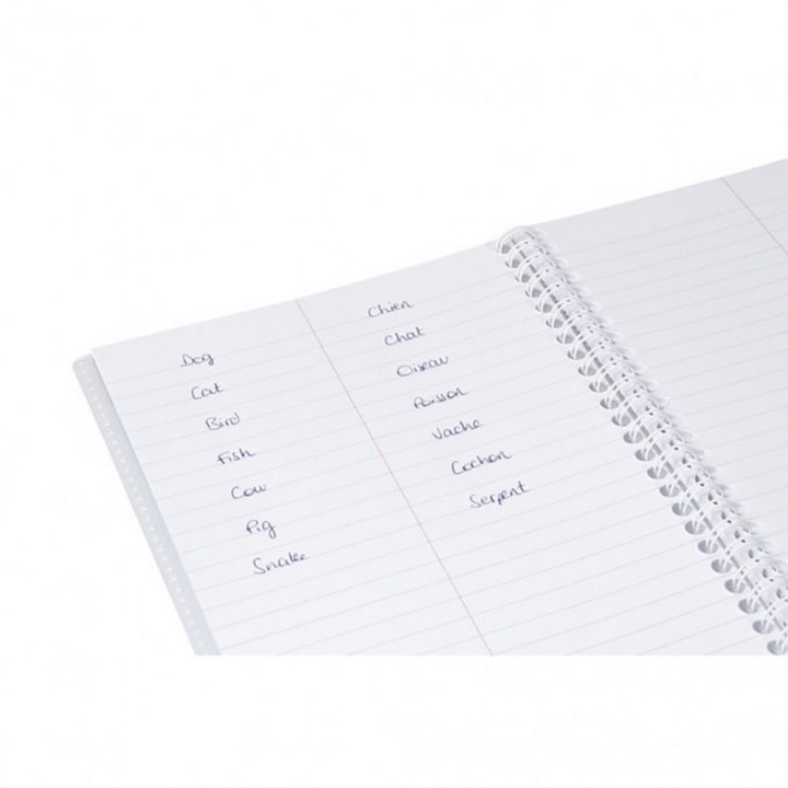Carnet de Vocabulaire 14.8 x 21 cm Ligné 100 pages Koverbook - Clairefontaine - Rougier et Plé