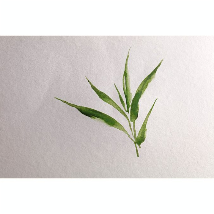 Papier Aquarelle Bamboo 250 g/m² Bloc Spiralé de 15 feuilles - Clairefontaine - Rougier et Plé
