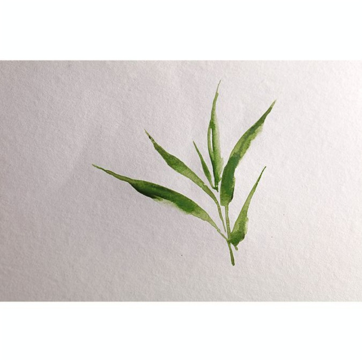 Papier Aquarelle Bamboo 250 g/m² Rouleau - Clairefontaine - Rougier et Plé