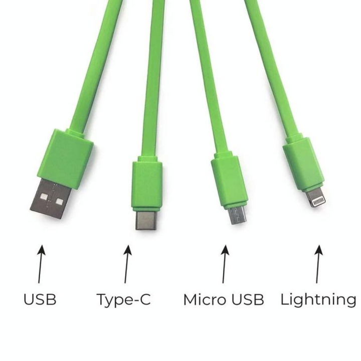 Câble de charge multiple Porte-clés Panda - Legami - Rougier et Plé