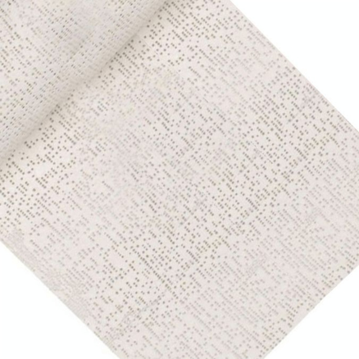 Bande plâtrée 420 g/m² 12 x 180 cm - Divers - Rougier et Plé