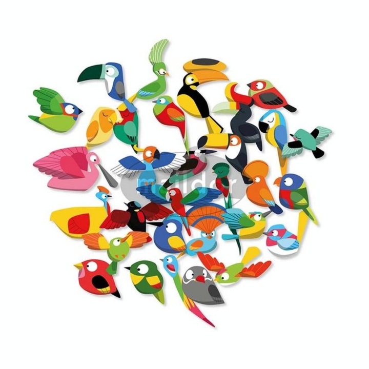 Gommettes Sticky Oiseaux tropicaux - Maildor - Rougier et Plé