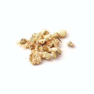 Fleurs séchées Déco 10 g Camomille - Graine Créative - Rougier et Plé