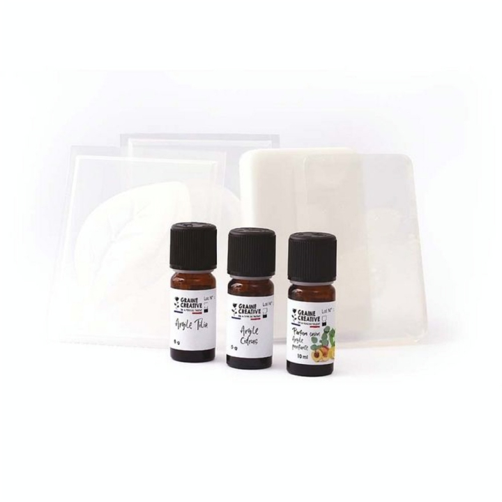 Kit DIY Savons à la Poudre d'argile - Graine Créative - Rougier et Plé