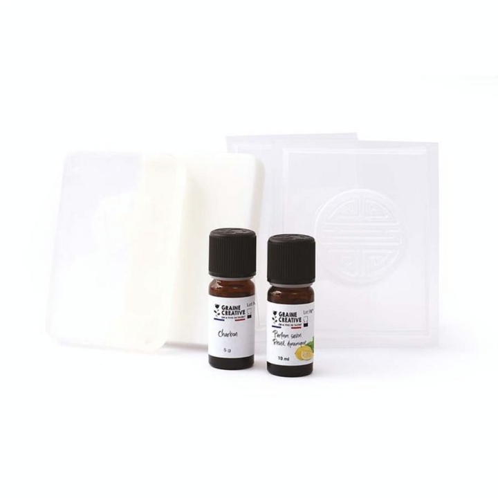 Kit DIY Savons au Charbon - Graine Créative - Rougier et Plé