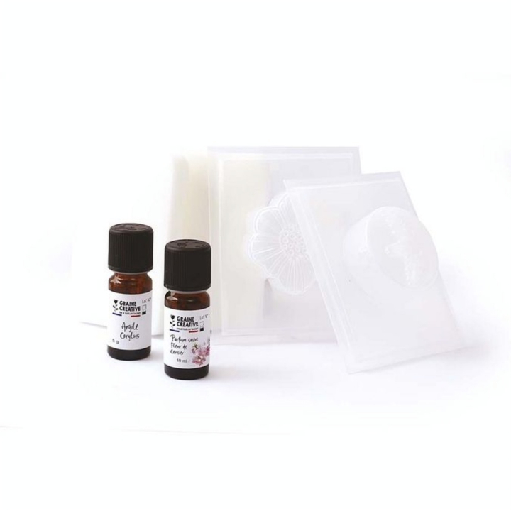 Kit DIY Savons au Karité - Graine Créative - Rougier et Plé