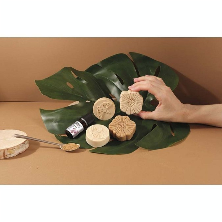 Kit DIY Savons au Karité - Graine Créative - Rougier et Plé