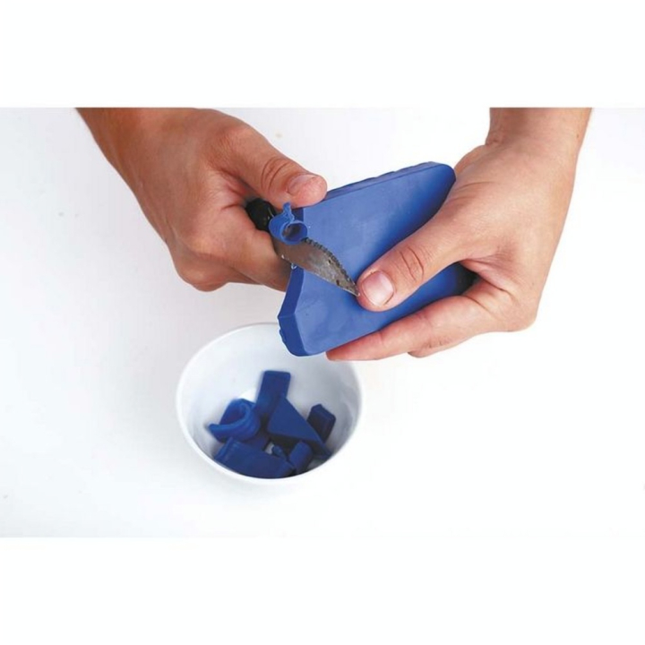 Kit DIY Savons marins - Graine Créative - Rougier et Plé