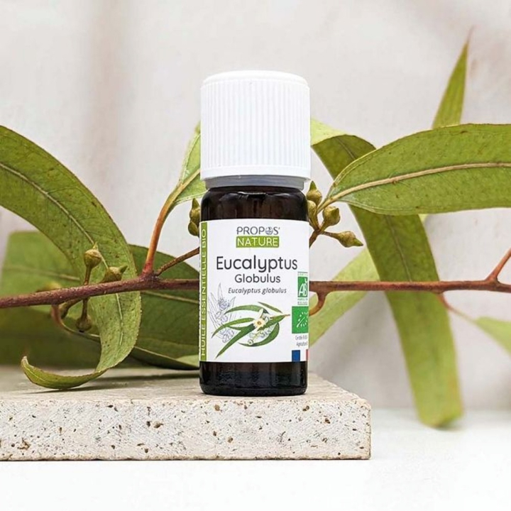 Huile Essentielle Eucalyptus Globulus Bio 10 ml - Joli'Essence - Rougier et Plé