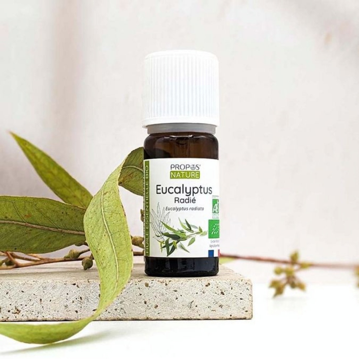 Huile Essentielle Eucalyptus Radié Bio 10 ml - Joli'Essence - Rougier et Plé