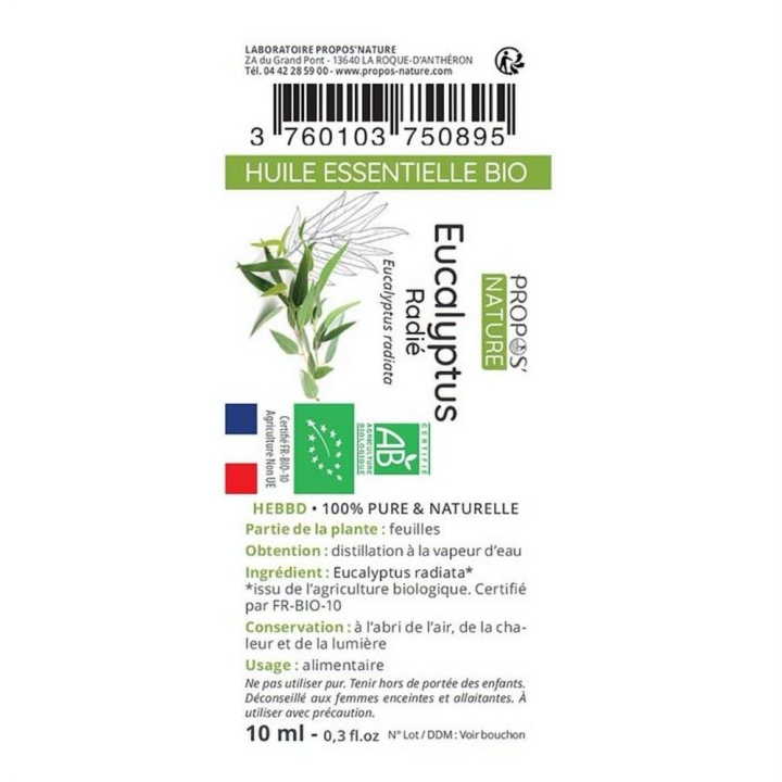 Huile Essentielle Eucalyptus Radié Bio 10 ml - Joli'Essence - Rougier et Plé