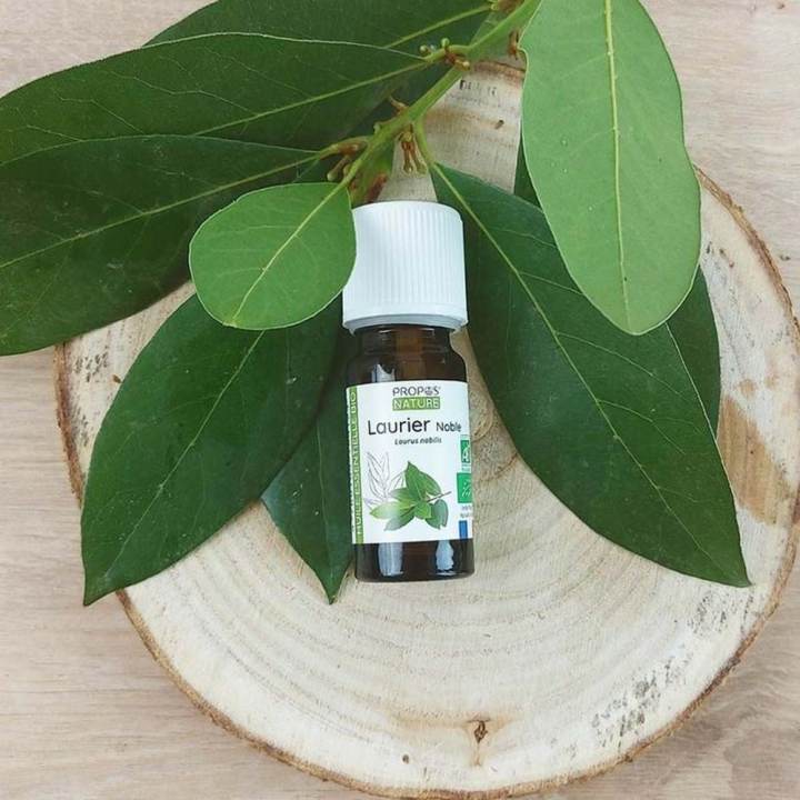 Huile Essentielle Laurier Noble Bio 10 ml - Joli'Essence - Rougier et Plé