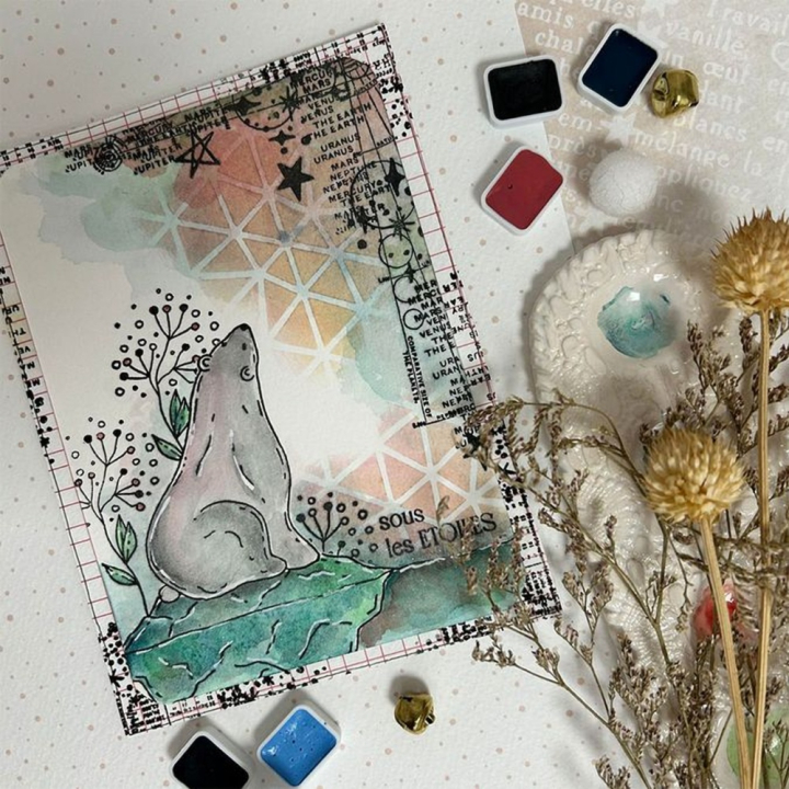 Tampons transparents Poussières d'étoiles 17 pcs - Chou & Flowers - Rougier et Plé