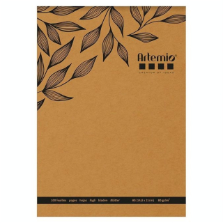 Bloc de Papier Kraft 15 x 21 cm 80 g/m² 100 feuilles - Artemio - Rougier et Plé