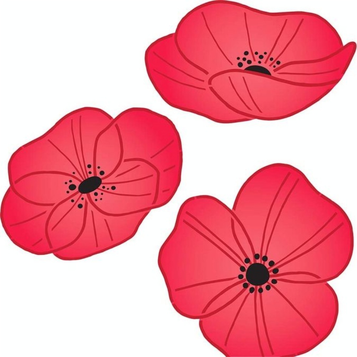 Pochoir Kraft 20 x 20 cm Coquelicots - Artemio - Rougier et Plé