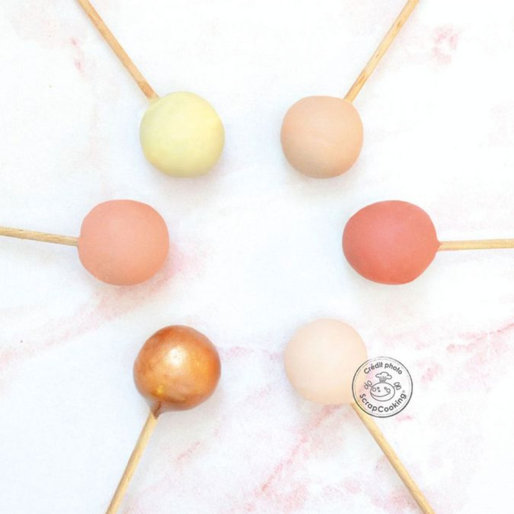 Bâtonnets pour cake pops x 20 pcs - ScrapCooking - Rougier et Plé