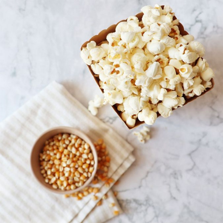 Machine Popcorn Factory - ScrapCooking - Rougier et Plé