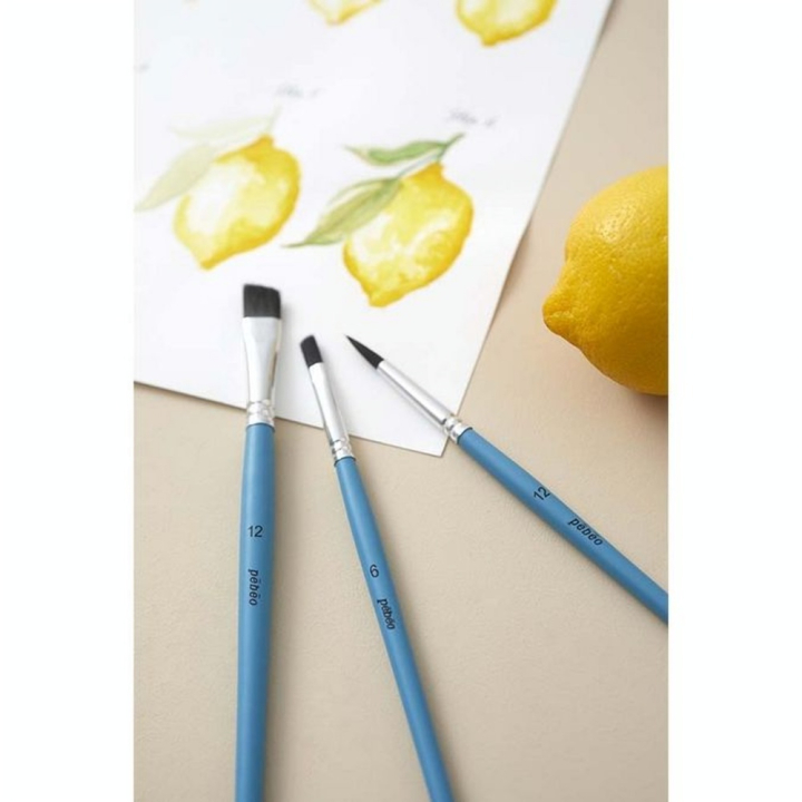 Pinceau Aquarelle Imitation Petit Gris 8 pcs Rond + Plat - Pébéo - Rougier et Plé